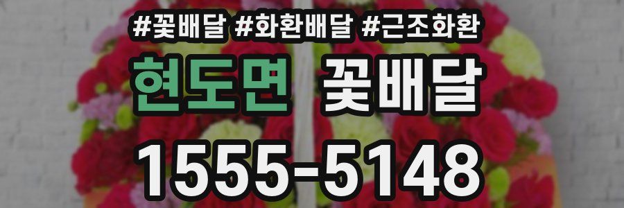 현도면 꽃배달
