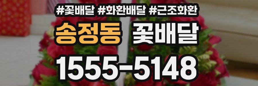 송정동 꽃배달