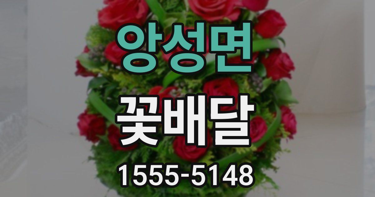 앙성면 꽃배달