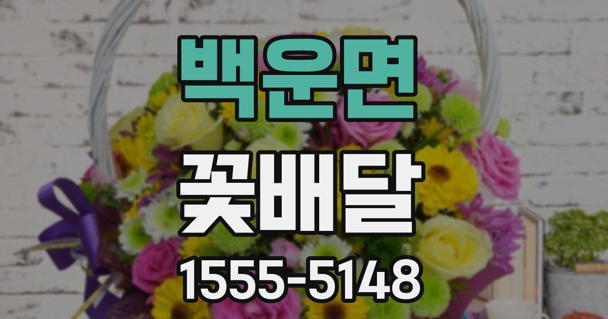 백운면 꽃배달