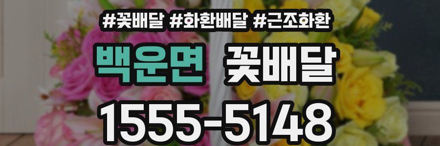 백운면 꽃배달