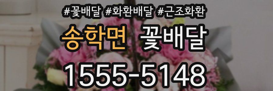 송학면 꽃배달