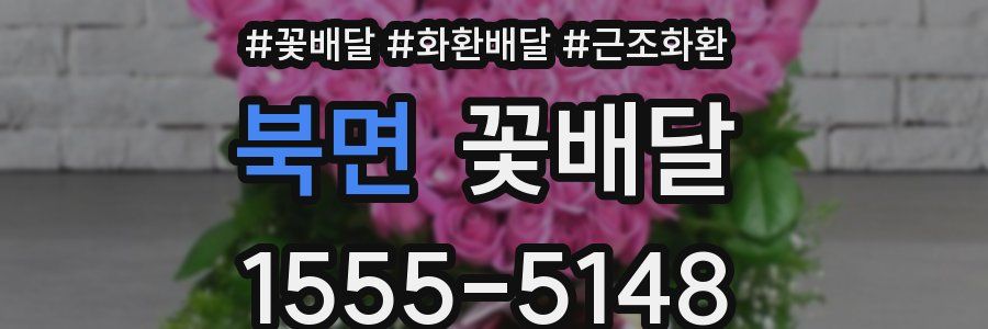 북면 꽃배달
