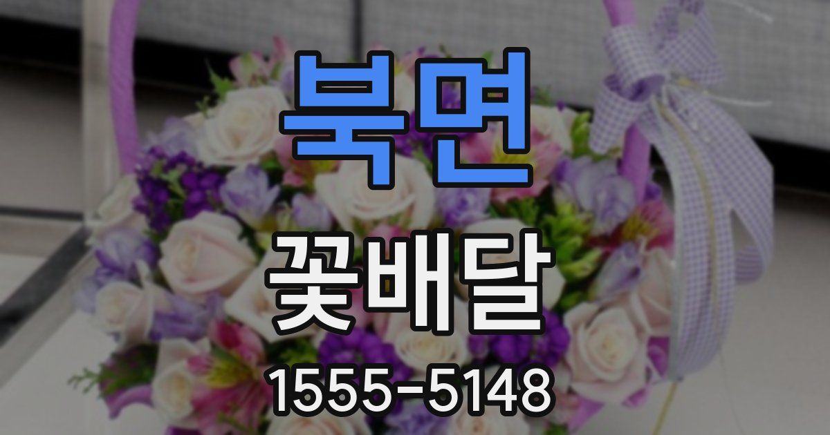 북면 꽃배달