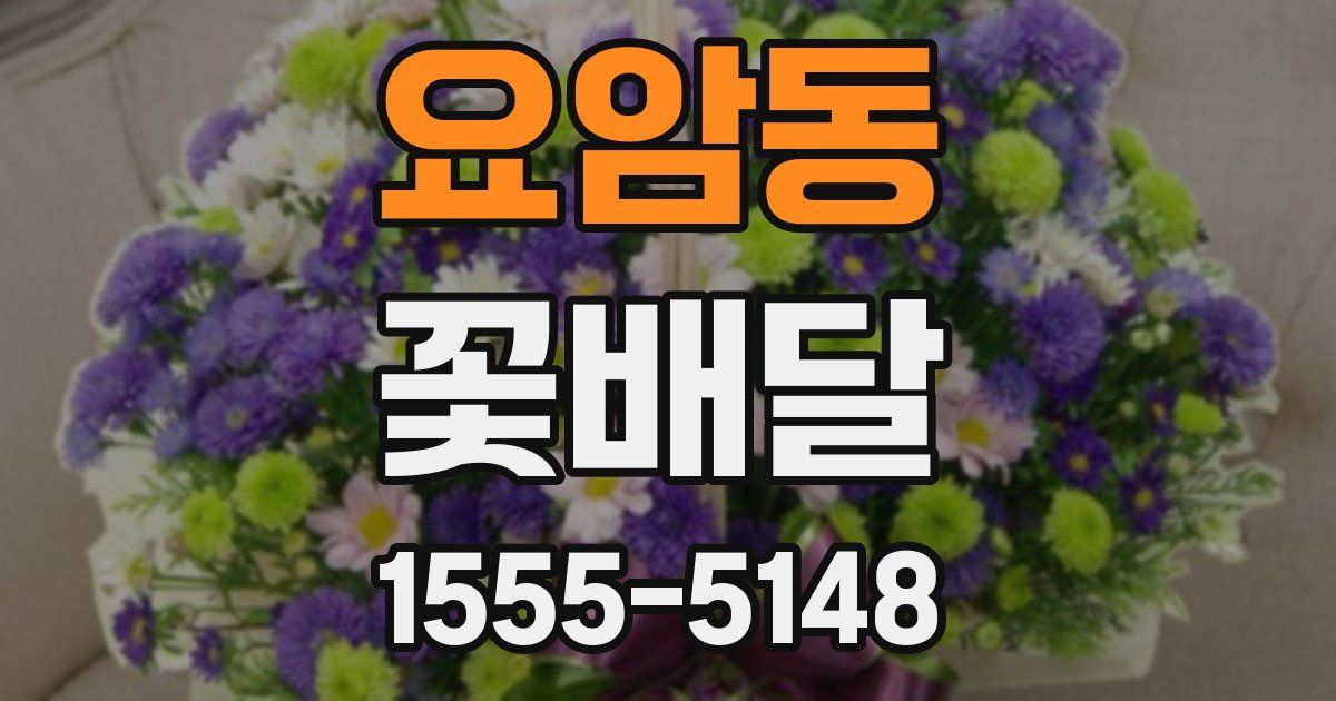 요암동 꽃배달