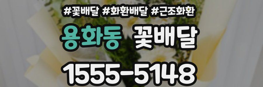 용화동 꽃배달