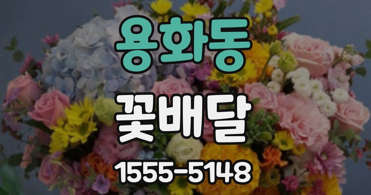 용화동 꽃배달