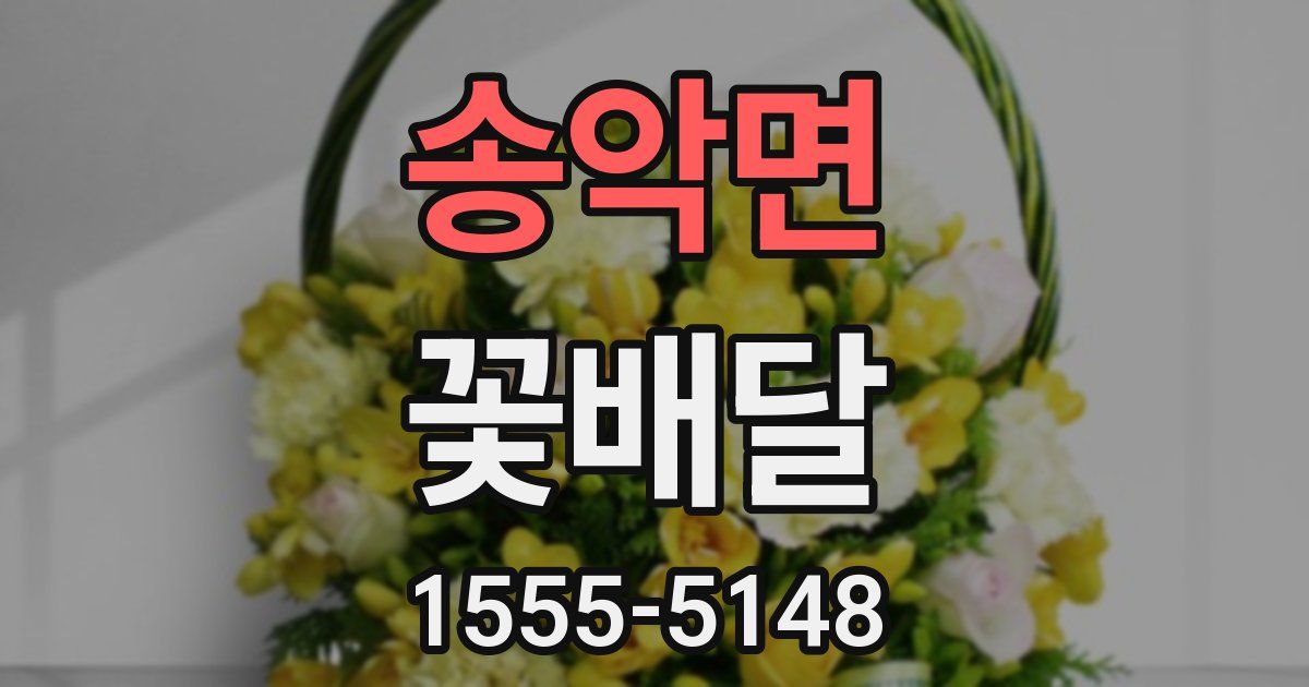 송악면 꽃배달