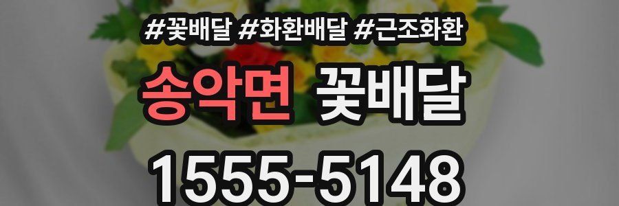 송악면 꽃배달