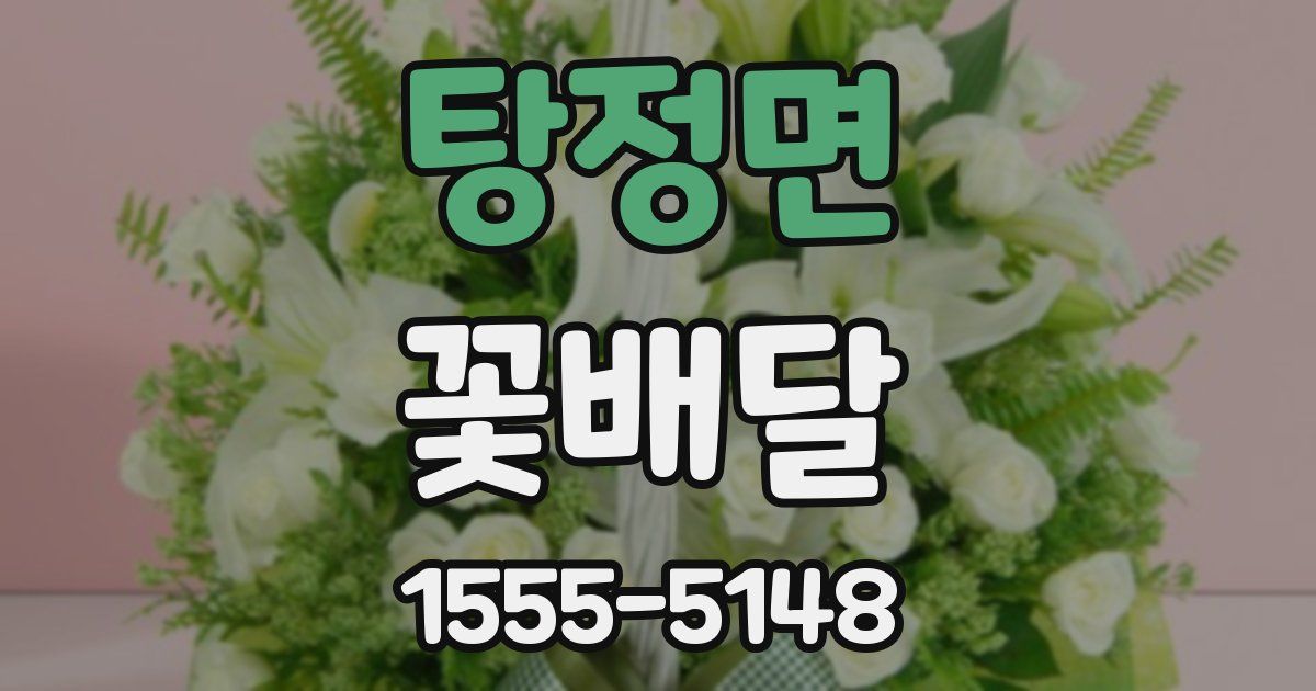 탕정면 꽃배달
