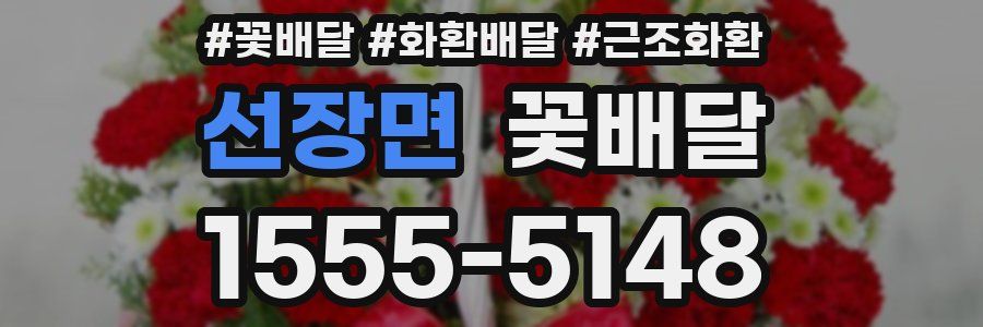 선장면 꽃배달