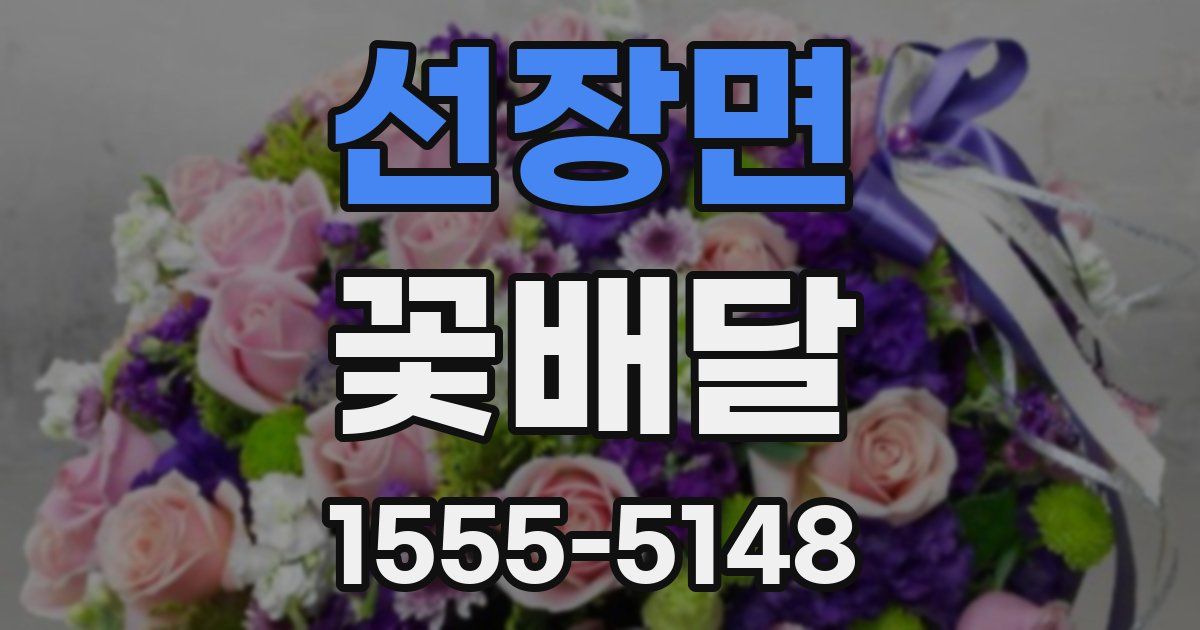 선장면 꽃배달