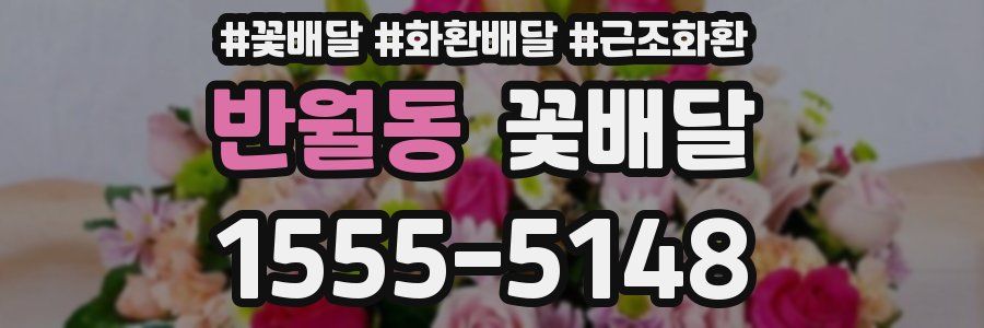 반월동 꽃배달