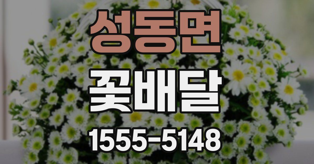 성동면 꽃배달