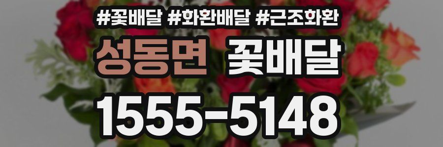 성동면 꽃배달