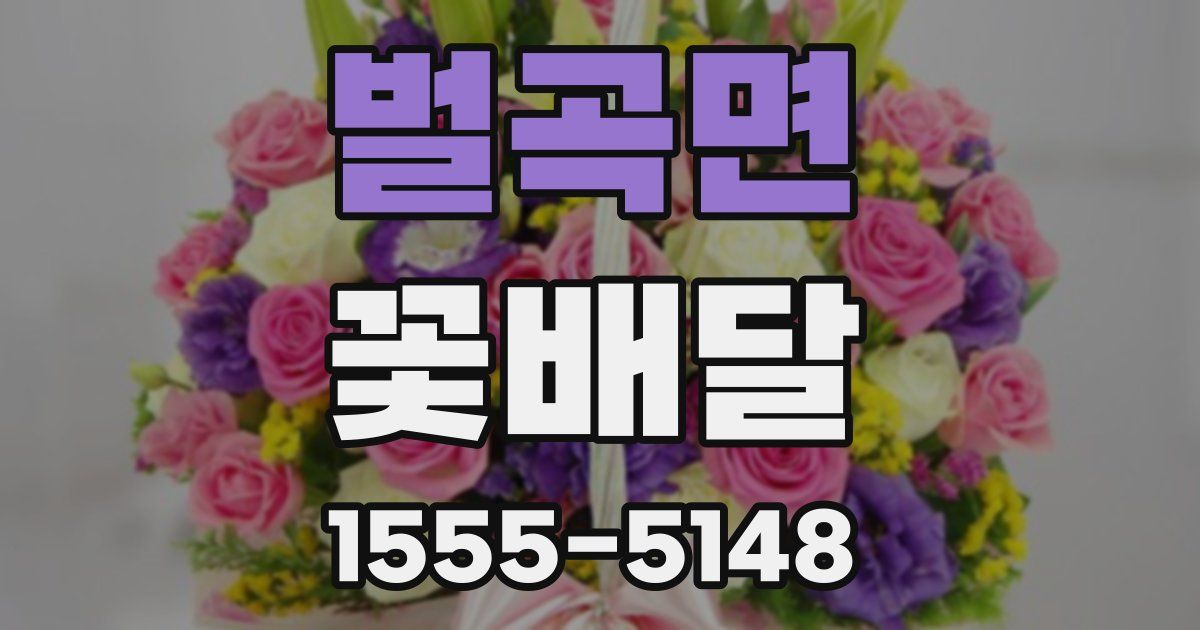 벌곡면 꽃배달
