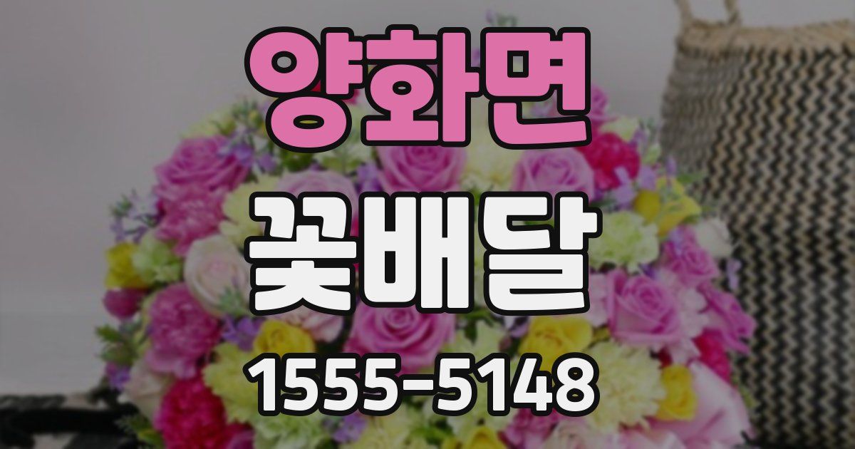 양화면 꽃배달
