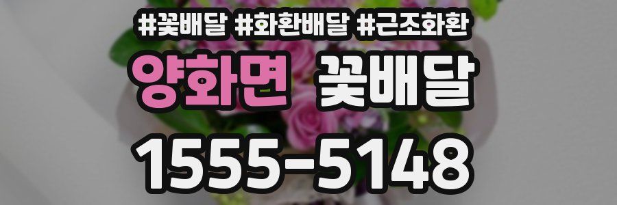양화면 꽃배달