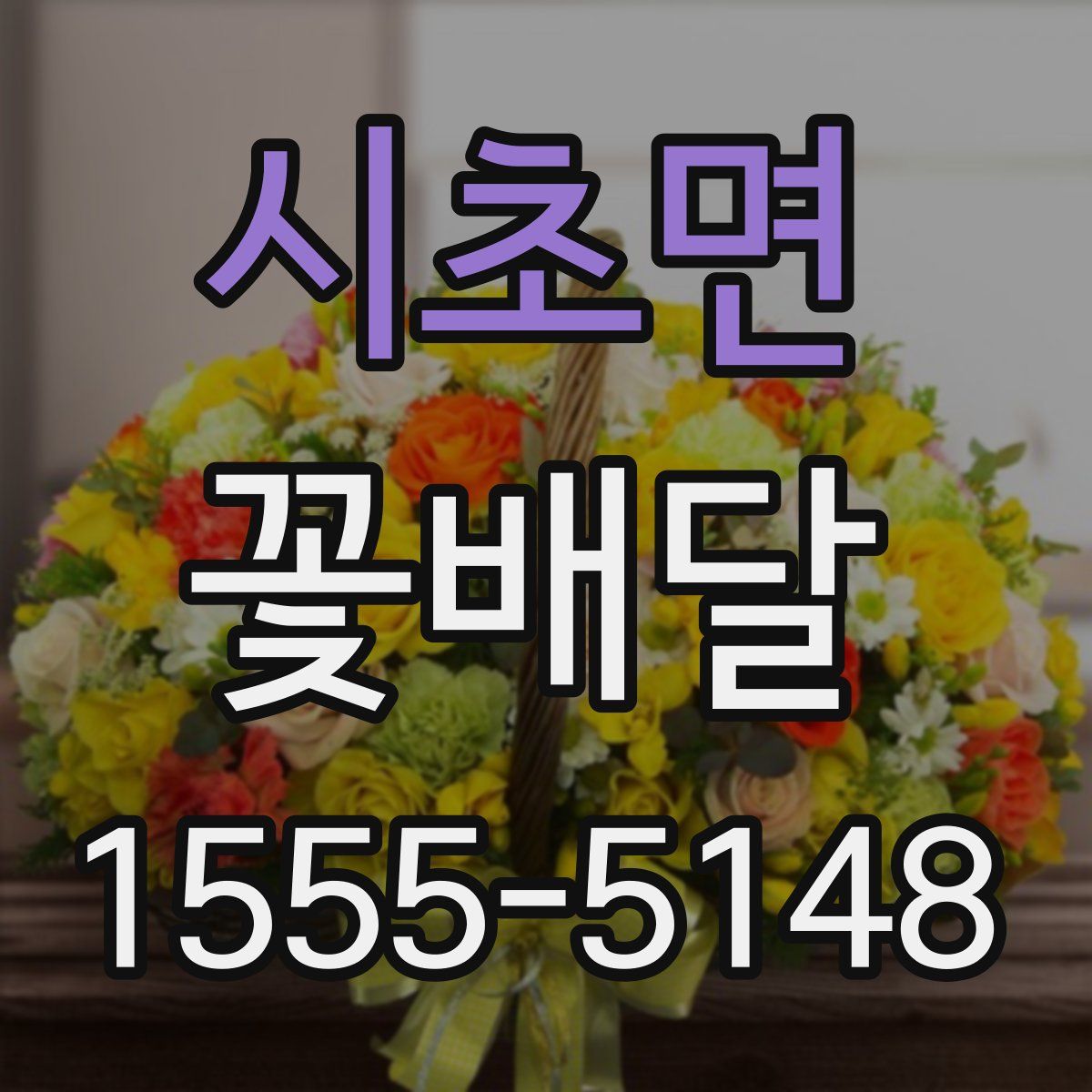 시초면 꽃배달