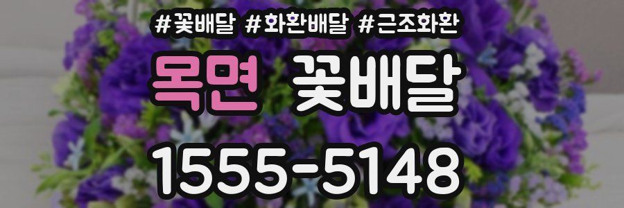 목면 꽃배달