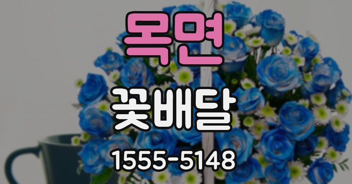 목면 꽃배달