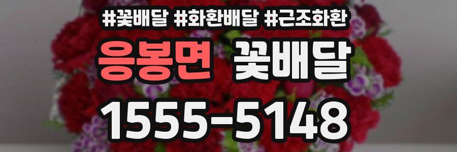 응봉면 꽃배달