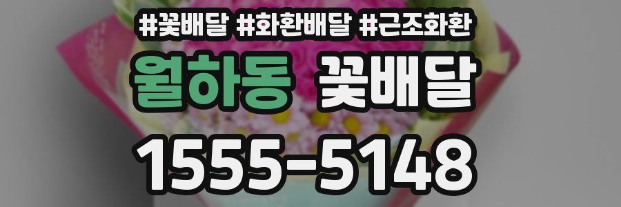 월하동 꽃배달
