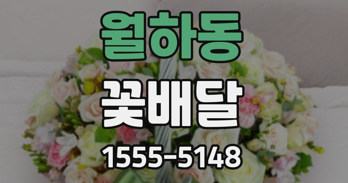 월하동 꽃배달