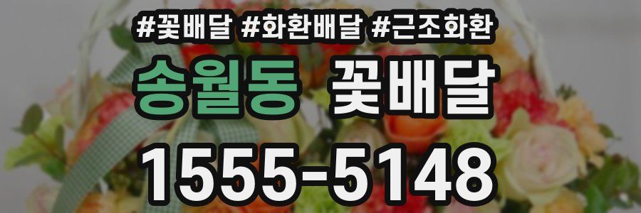 송월동 꽃배달