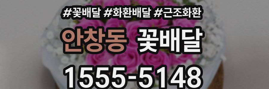 안창동 꽃배달