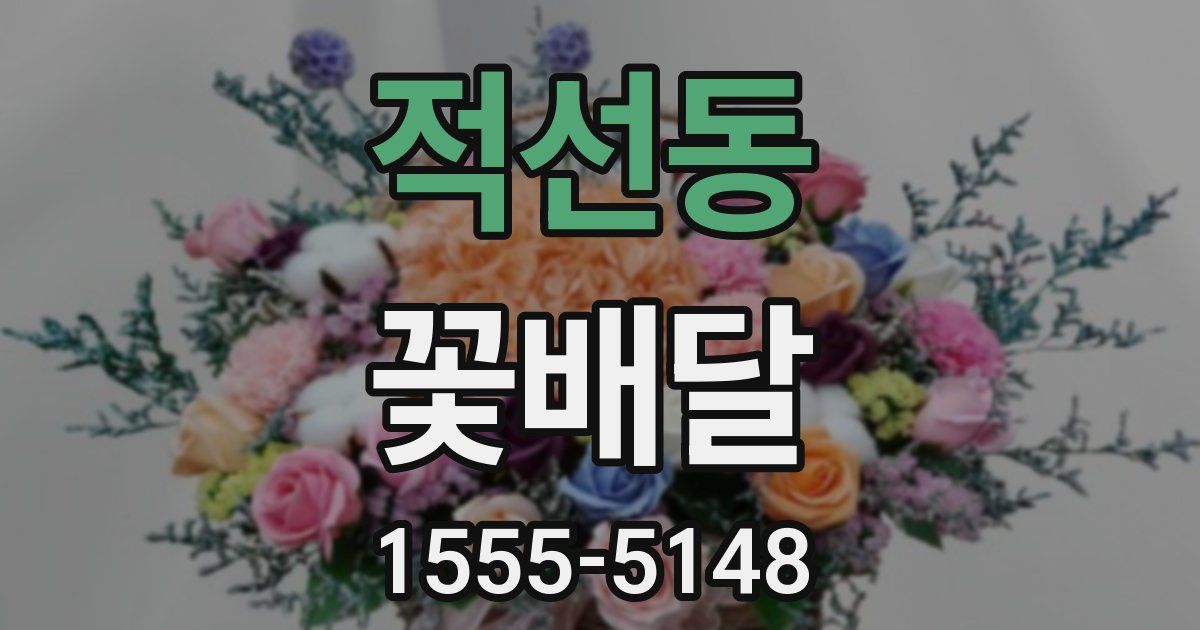 적선동 꽃배달