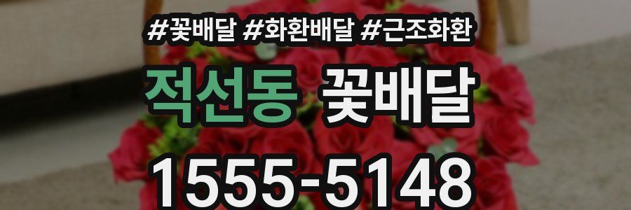 적선동 꽃배달