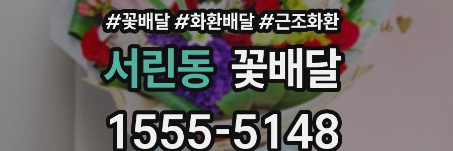 서린동 꽃배달
