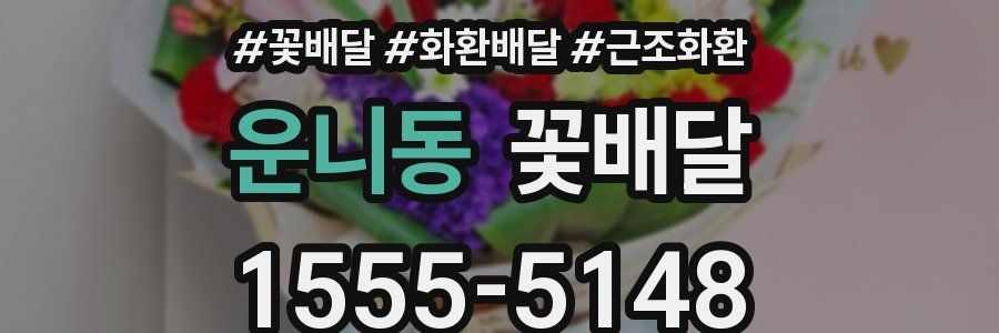 운니동 꽃배달