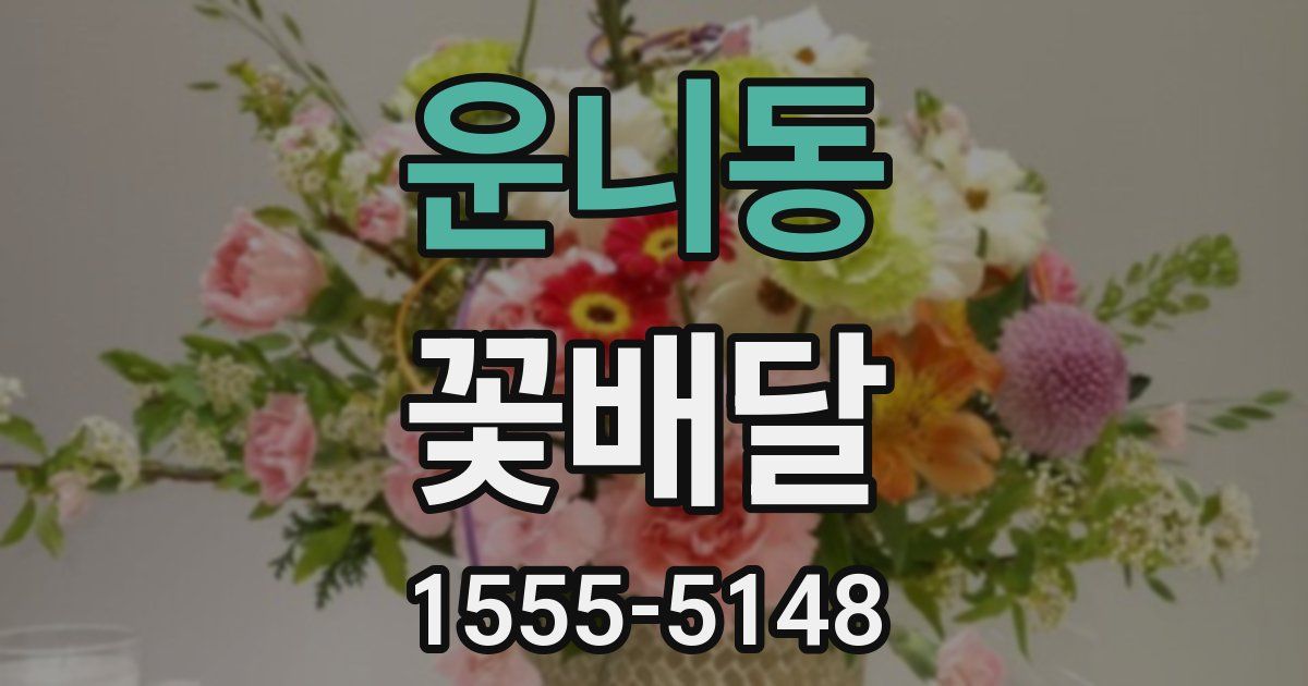 운니동 꽃배달