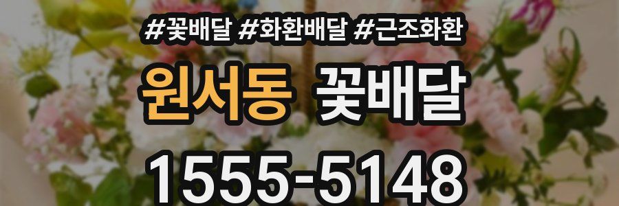 원서동 꽃배달