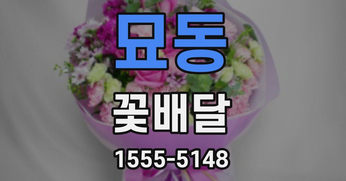 묘동 꽃배달