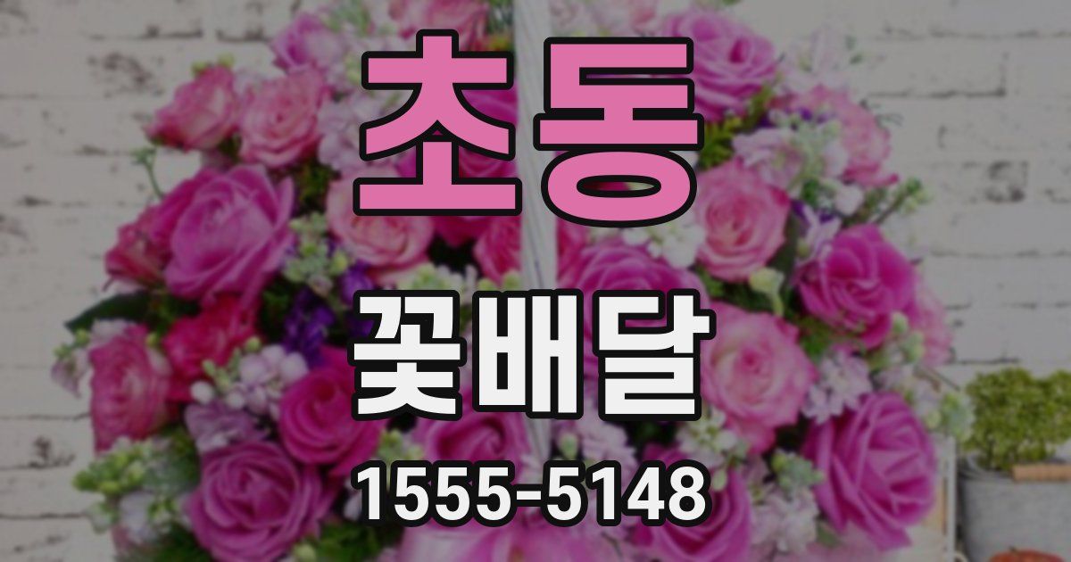 초동 꽃배달