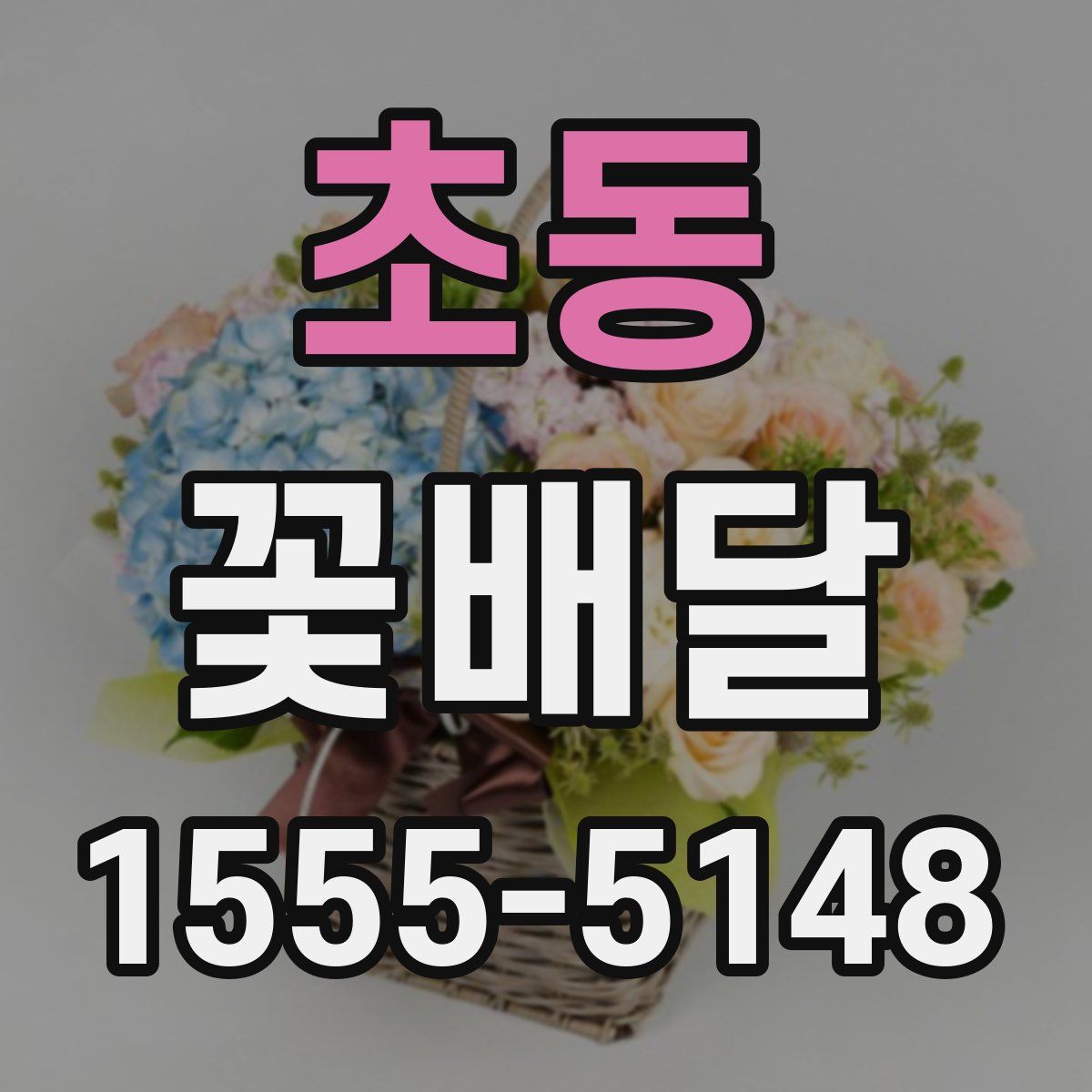 초동 꽃배달
