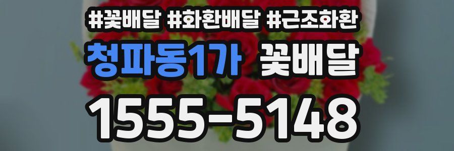 청파동1가 꽃배달