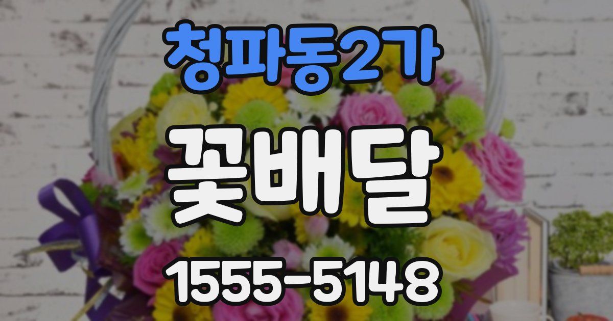 청파동2가 꽃배달