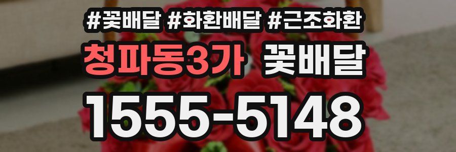 청파동3가 꽃배달
