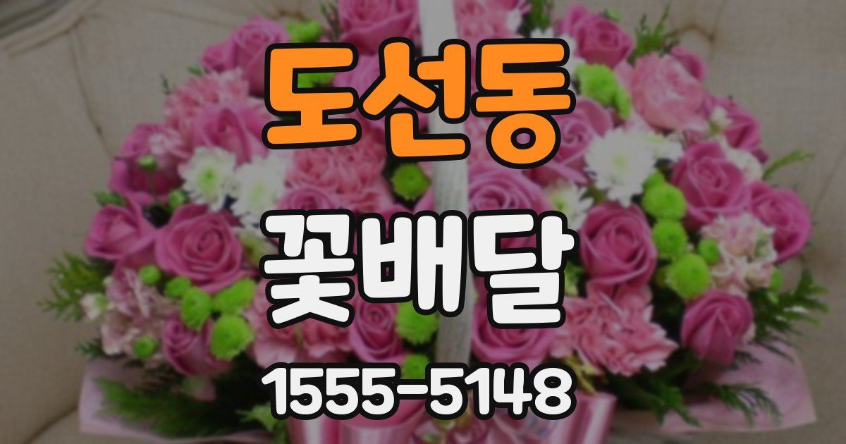 도선동 꽃배달