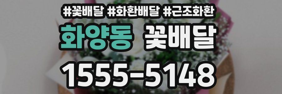 화양동 꽃배달