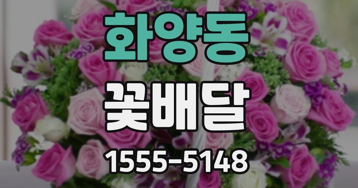 화양동 꽃배달