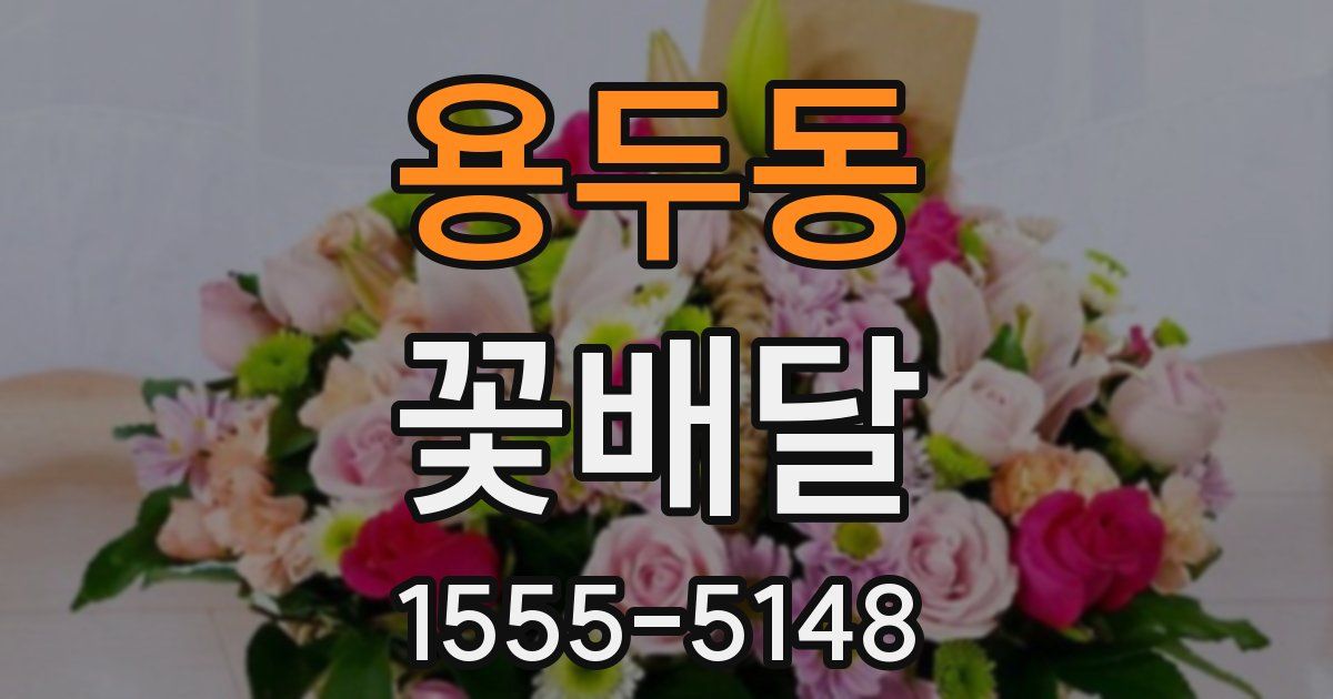 용두동 꽃배달