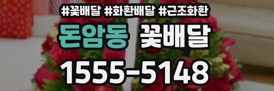 돈암동 꽃배달