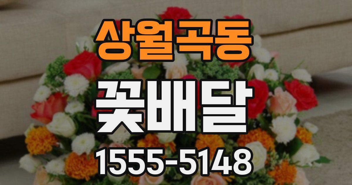 상월곡동 꽃배달