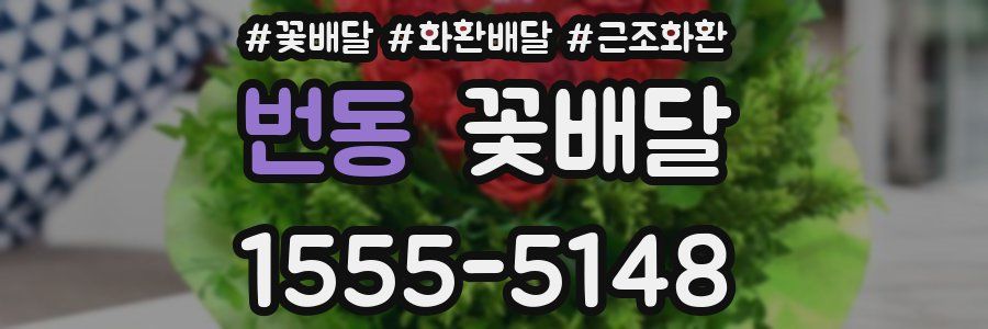 번동 꽃배달