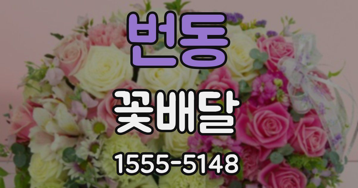 번동 꽃배달